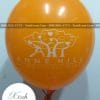 Bong bóng in logo trường mẫu giáo Anne Hill International School XV008