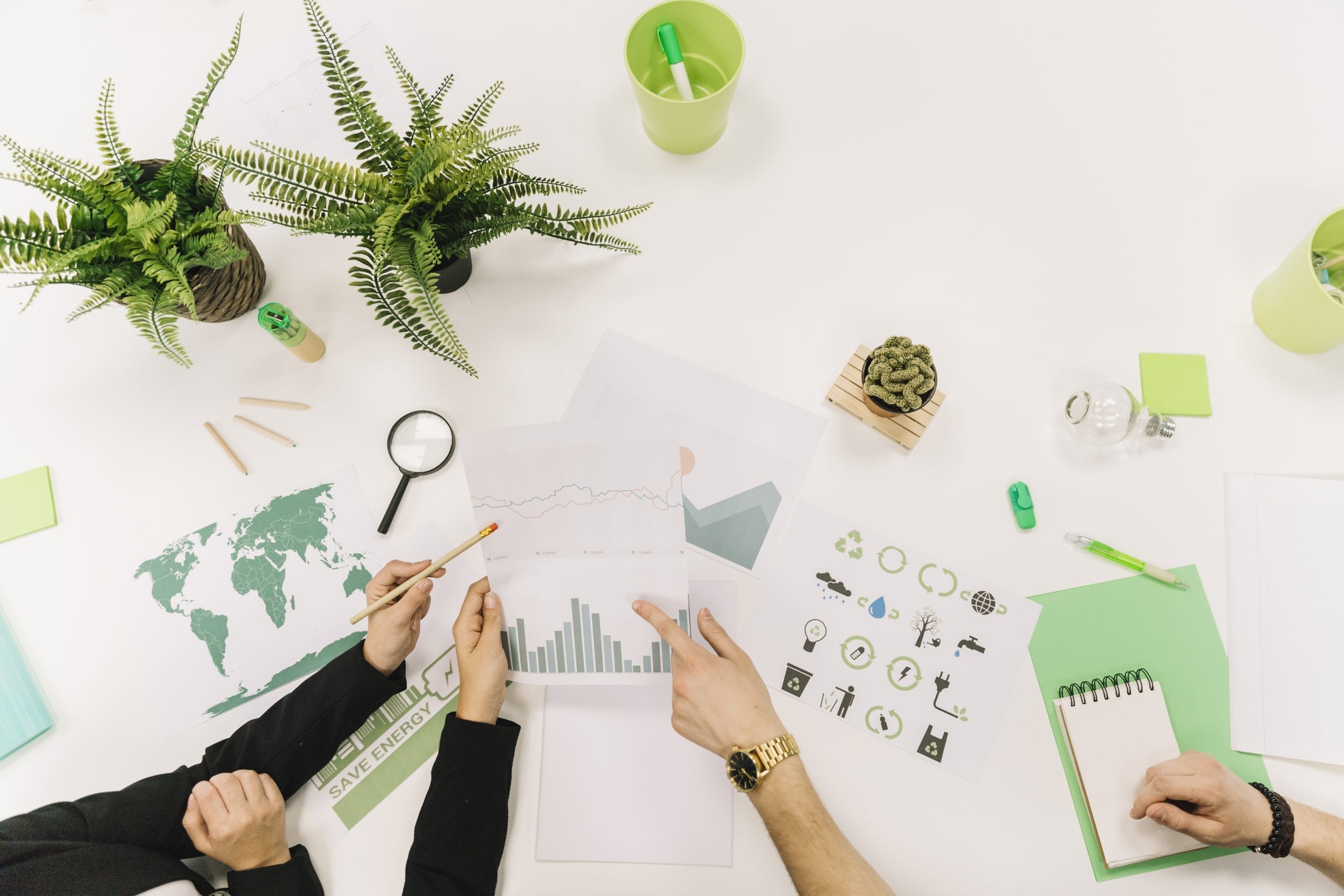 Lên kế hoạch tổ chức sự kiện sinh nhật