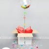 Báo giá hộp quà Surprise XV105