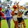 Cho thuê mascot đa dạng giá tốt tại TPHCM XV232