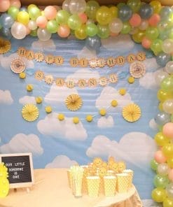 Backdrop sinh nhật Sky XV263