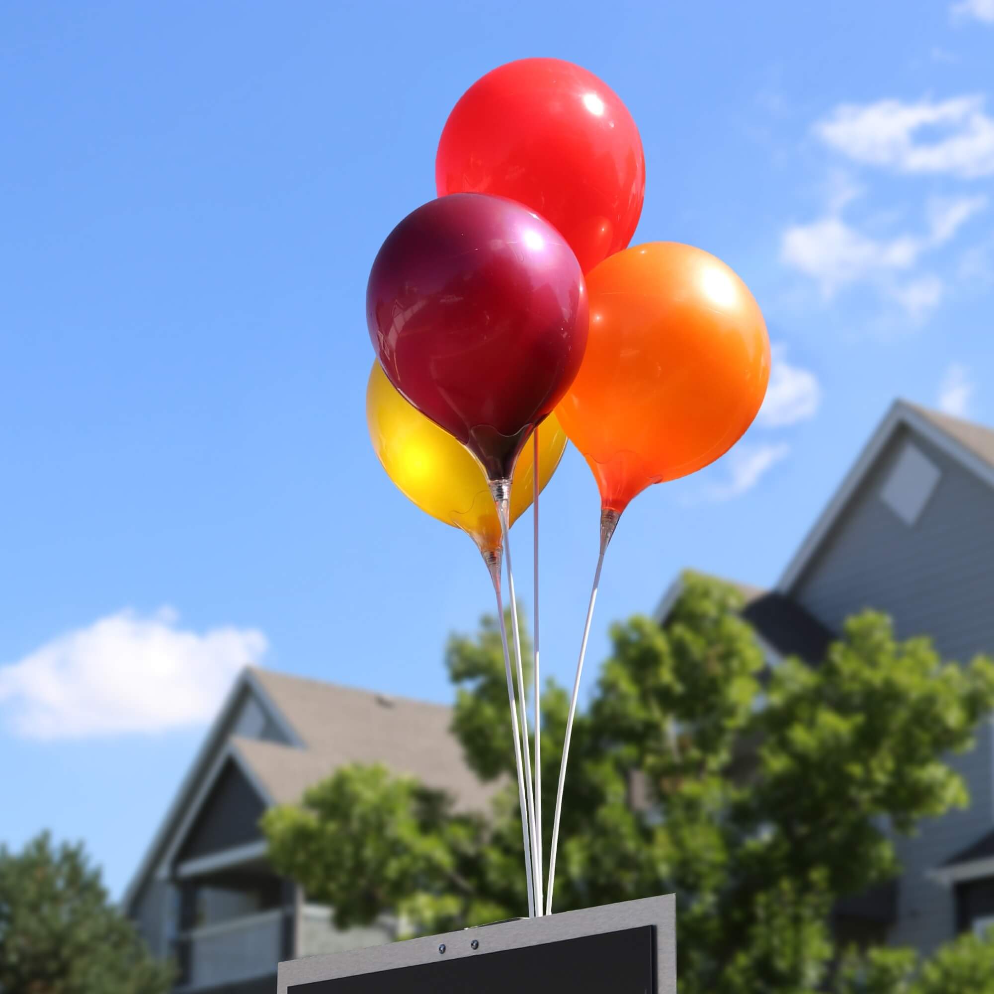 trang trí bóng bay sinh nhật