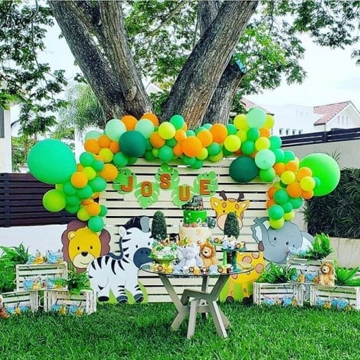 Trang trí backdrop sinh nhật ngoài vườn XV494