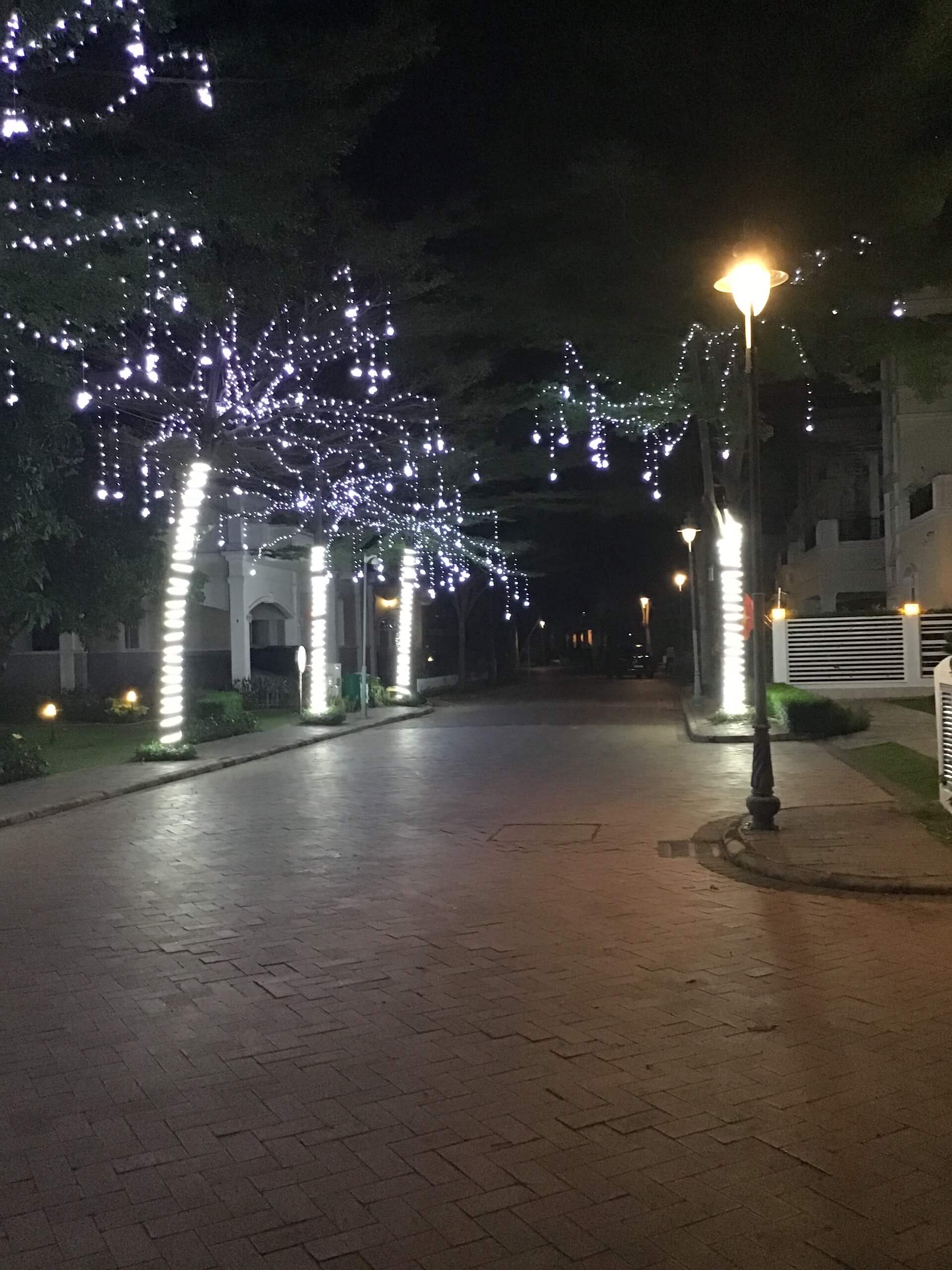 Bộ dây đèn trang trí giáng sinh XV686