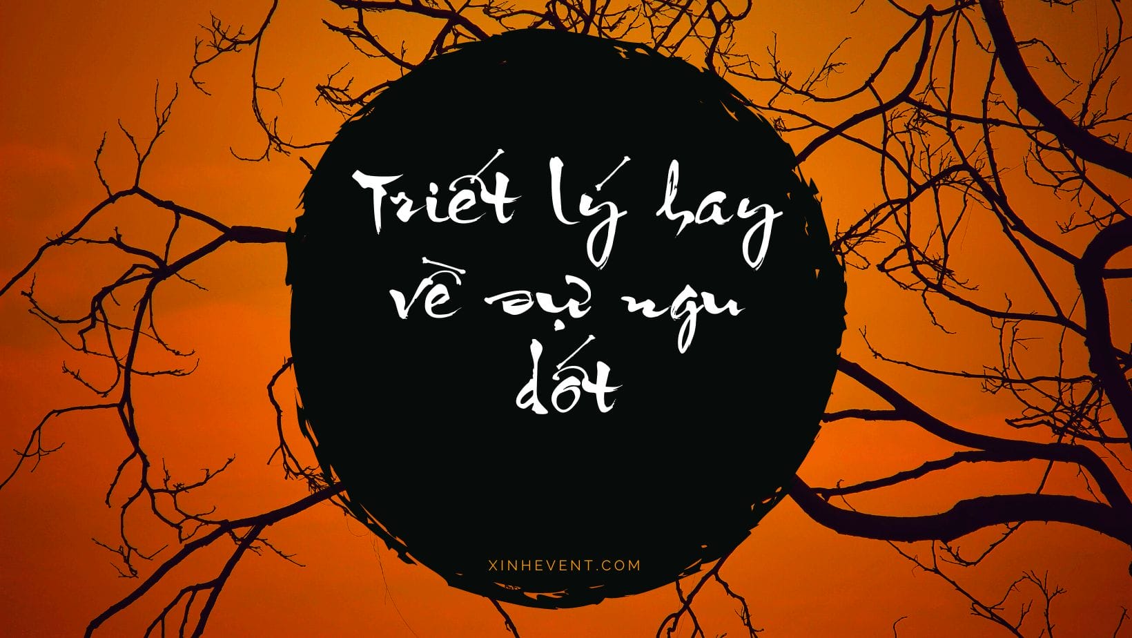 triết lý hay về sự ngu dốt